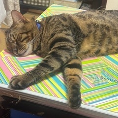 無事見つかりました