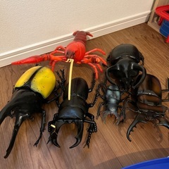 カブトムシ ザリガニ クワガタ の画像