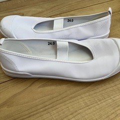 上履き、24.0cmの画像
