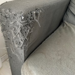 ソファぼろぼろです！の画像