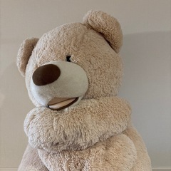 コストコのクマの画像