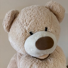 コストコのクマの画像
