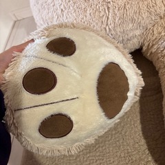 コストコのクマの画像