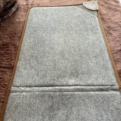 ホットカーペットお譲り済の画像