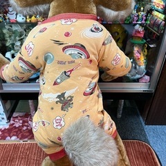 入手困難レア！ワイリーコヨーテ等身大！の画像