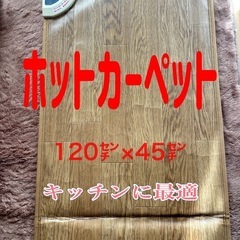 ホットカーペットお譲り済