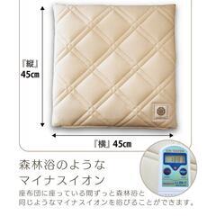 🟧ホルミシス座布団の画像