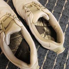 footjoy ゴルフシューズ 24,5cmの画像