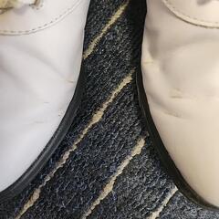 footjoy ゴルフシューズ 24,5cmの画像