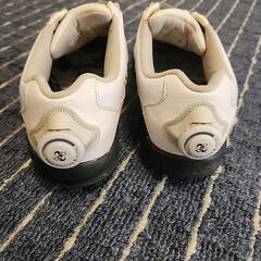 footjoy ゴルフシューズ 24,5cmの画像