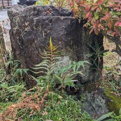 庭石あげます　＊灯籠は終了しましたの画像