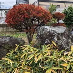 庭石あげます　＊灯籠は終了しましたの画像