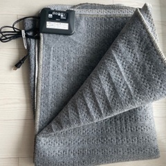 【ほぼ新品】＊koden 電気カーペット