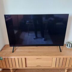 テレビ LG OLED (OLED48A2PJA)