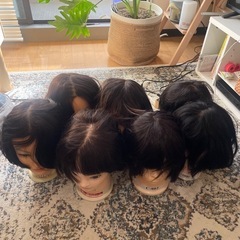 練習用カットウィッグ7体