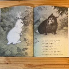 「しろいうさぎとくろいうさぎ」福音館書店の画像