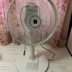 SHARP 扇風機
  