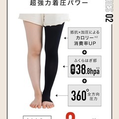 BELMISE 着圧ソックス L-LLサイズの画像