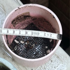 無料！ピンク植木鉢の画像