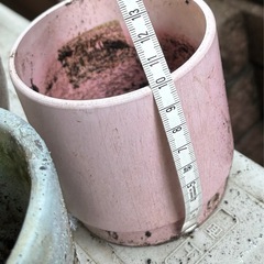 無料！ピンク植木鉢の画像