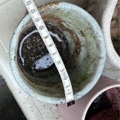 無料！ヴィンテージ風陶器　植木鉢の画像