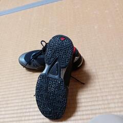 25,5センチアディダススニーカーの画像