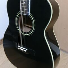 ❤️弦高調整❤️新フレット　Morris モーリス F-12Ⅱ　BLK ＋ショルダーケースの画像