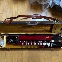 SUZUKI 大正琴　蘭の画像