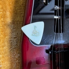 SUZUKI 大正琴　蘭の画像