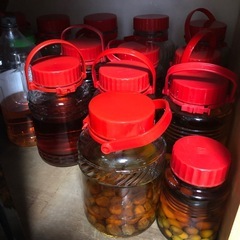 自家製梅酒　砂糖なし
