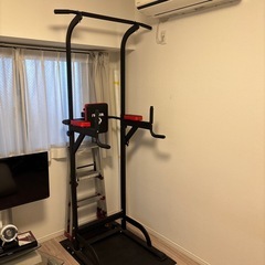 WASAI(ワサイ) ぶら下がり健康器 懸垂マシン

