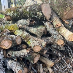 無料で差し上げます(原木、薪、木材)の画像