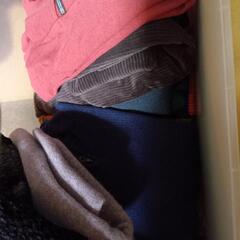 メンズジャケットセーターの画像