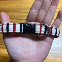 ペット　首輪の画像