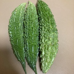 無農薬ゴーヤ3本