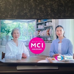 テレビ保護パネルの画像
