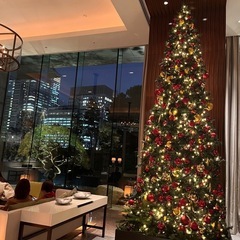 11/28（木）11時〜🌸天宮玲桜先生ファンミーティングお茶会🌸