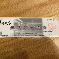 秩父温泉　星音の湯入浴チケット(タオルセット付き)