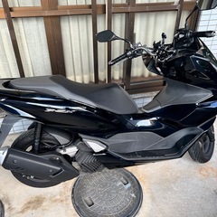 PCX125の画像