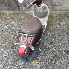 ホンダ　ジョルノ　AF70の画像