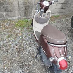 ホンダ　ジョルノ　AF70の画像