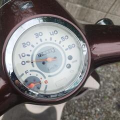 ホンダ　ジョルノ　AF70の画像