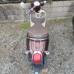 ホンダ　ジョルノ　AF70の画像