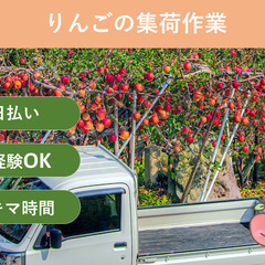 ＼日払い・1日OK！／【ドライバー募集！一緒に走ろう♪】りんご集...