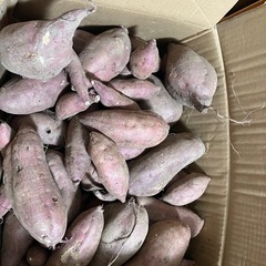 さつまいもの画像