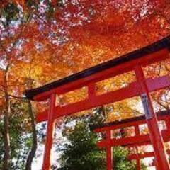 【急募】１１月３０日（土）歩いてめぐるやすらぎと活力に満ちた公園文化都市群馬県館林市とうどん天下一三連覇鬼ひもかわうどん　東武鉄道館林駅　１０時３０分 - 館林市