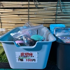 メダカの産卵床　Googleマップに載ってます。