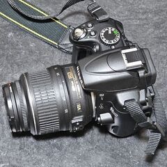 【値下げなし28日】NikonD5000ダブルレンズ