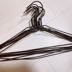 ハンガー 10個　