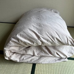 羽毛布団　クリーニング済みでフカフカです！